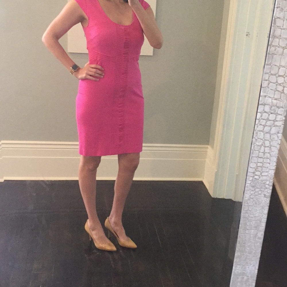 Hot pink sheath dress Ann Taylor size 10 NWOT